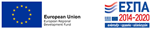 European Social Fund
